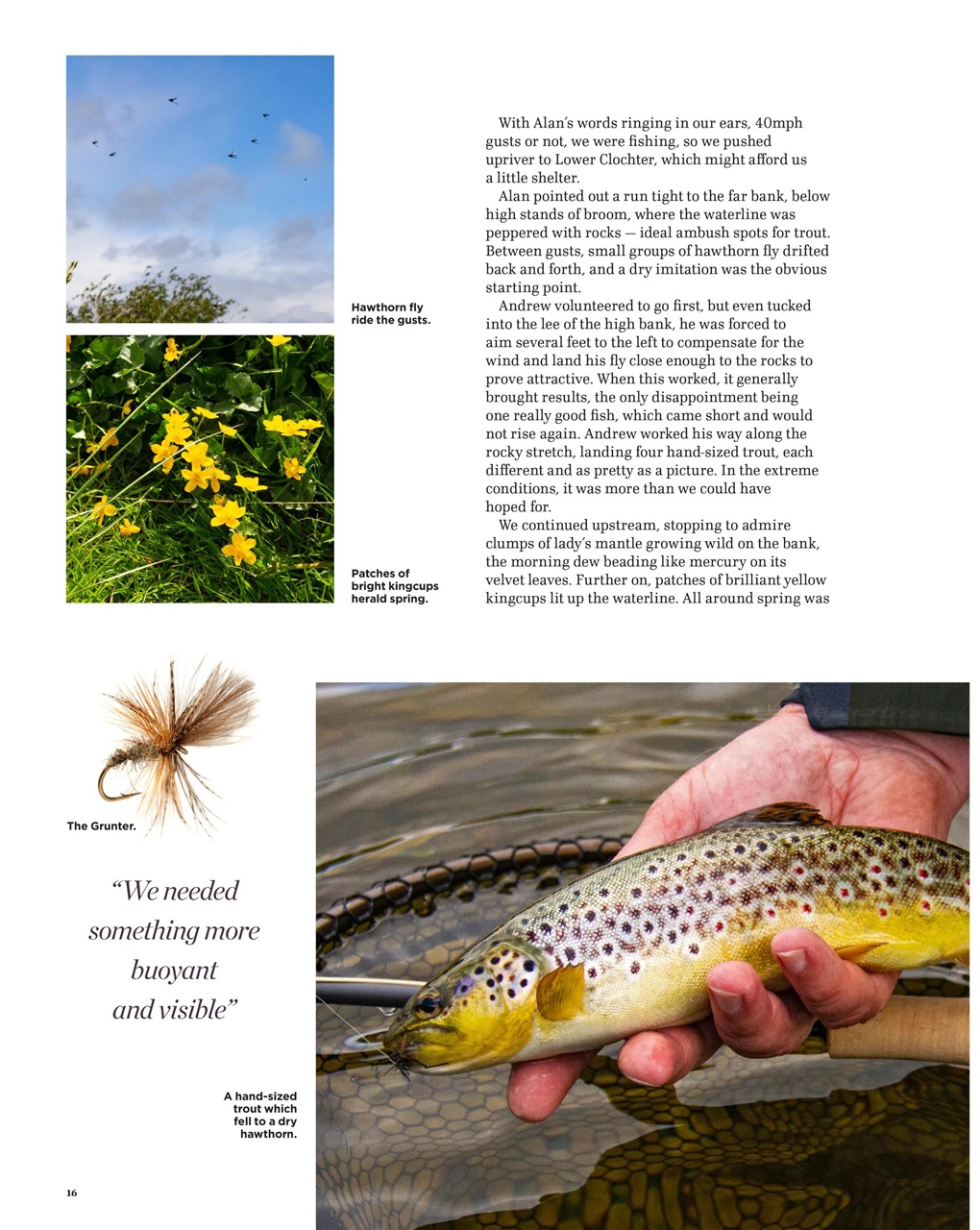 Trout & Salmon Preview Pages