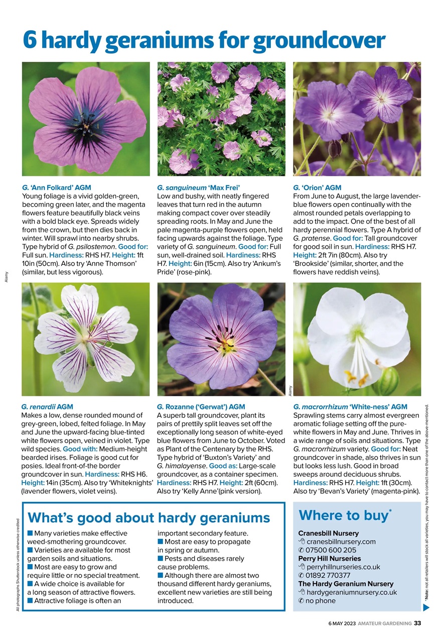 Amateur Gardening Preview Pages