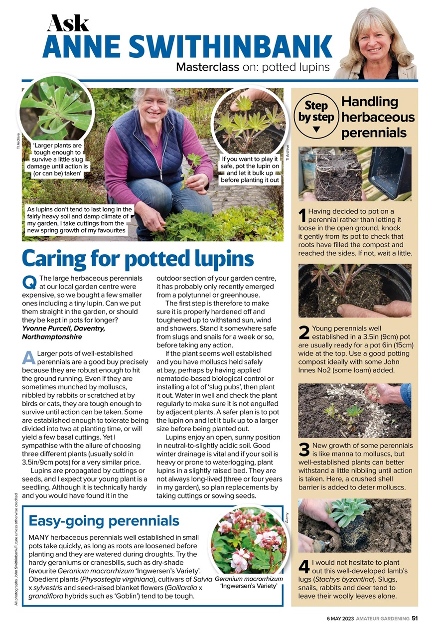 Amateur Gardening Preview Pages