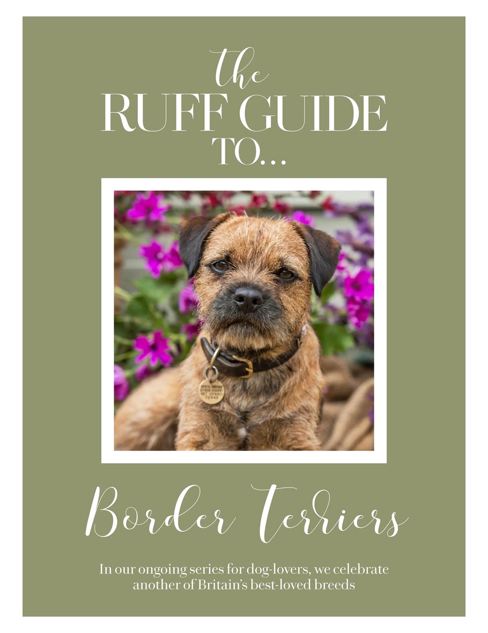 Country Living Preview Pages