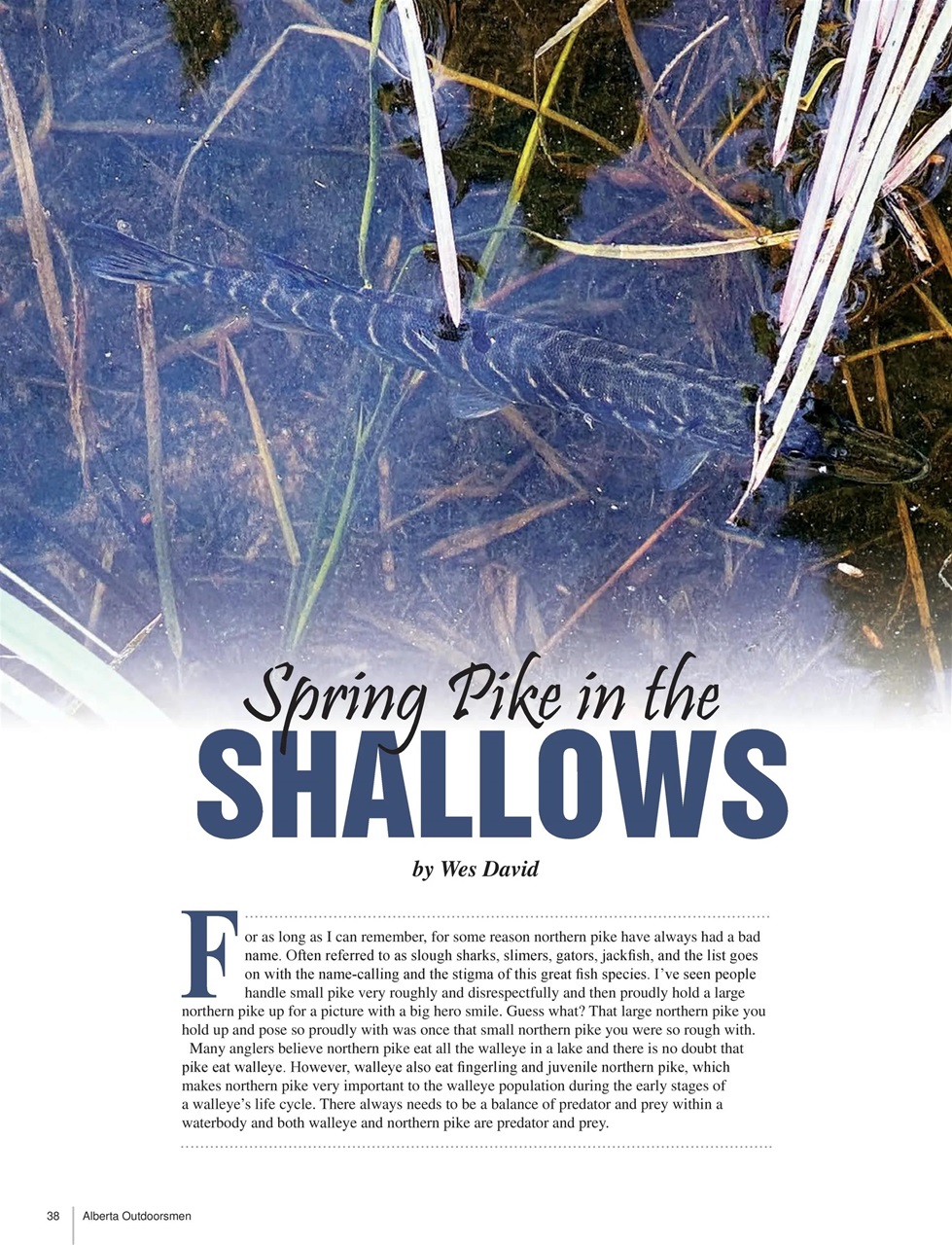 Alberta Outdoors Preview Pages