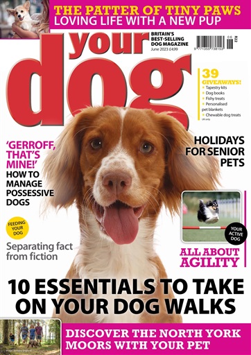 Your Dog issue 