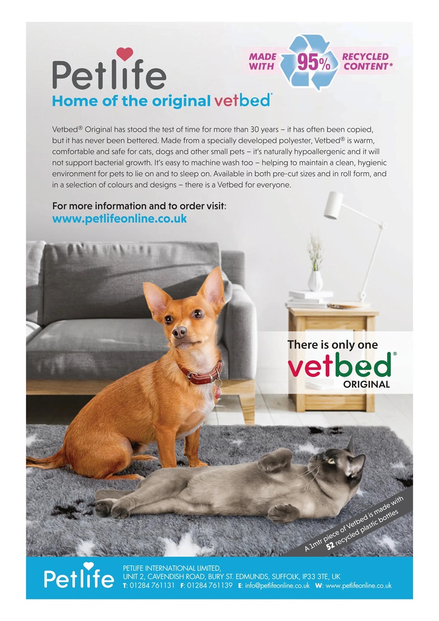 Your Dog Preview Pages