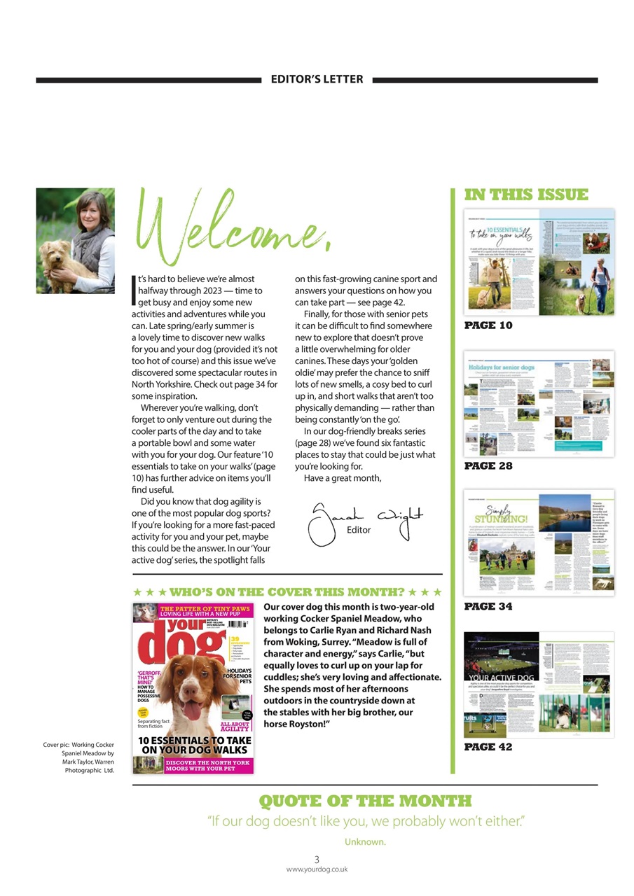 Your Dog Preview Pages