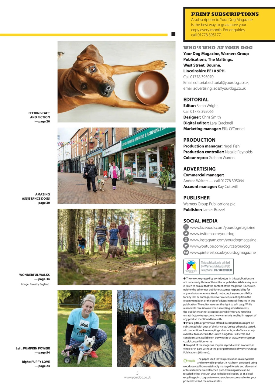 Your Dog Preview Pages