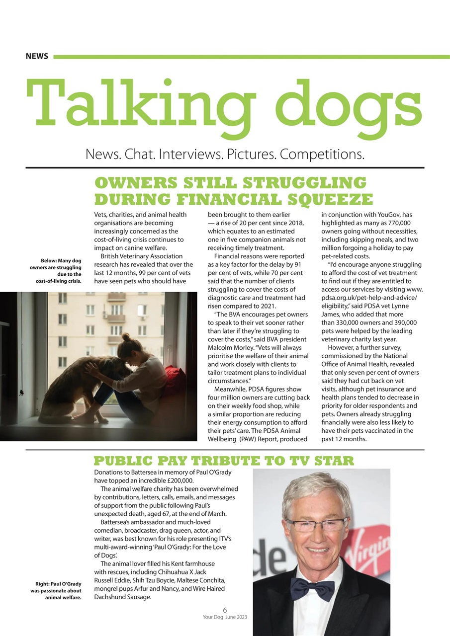 Your Dog Preview Pages