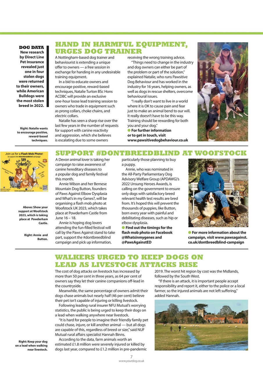 Your Dog Preview Pages