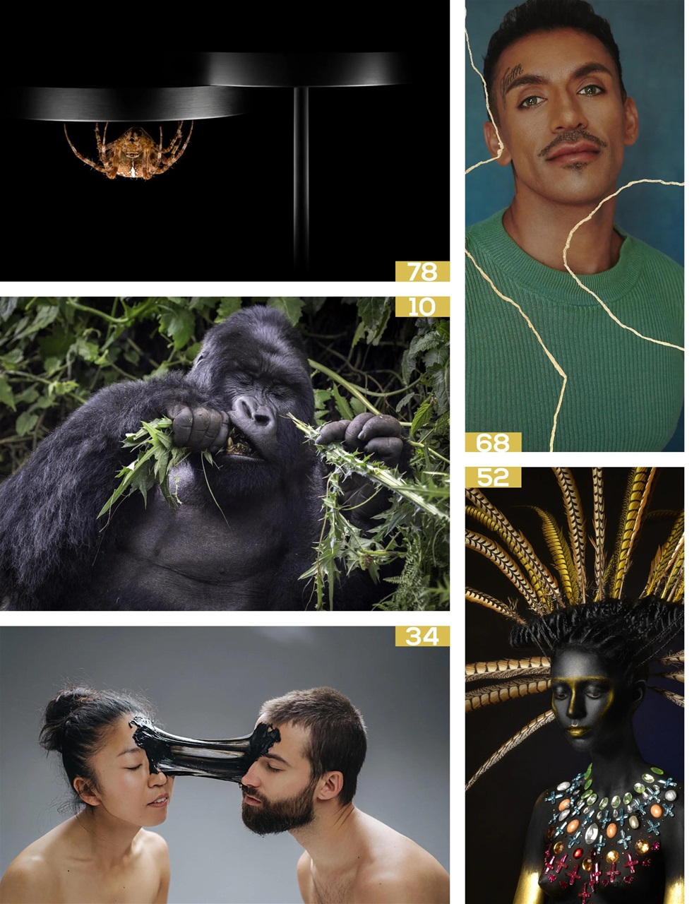 Lens Magazine Preview Pages