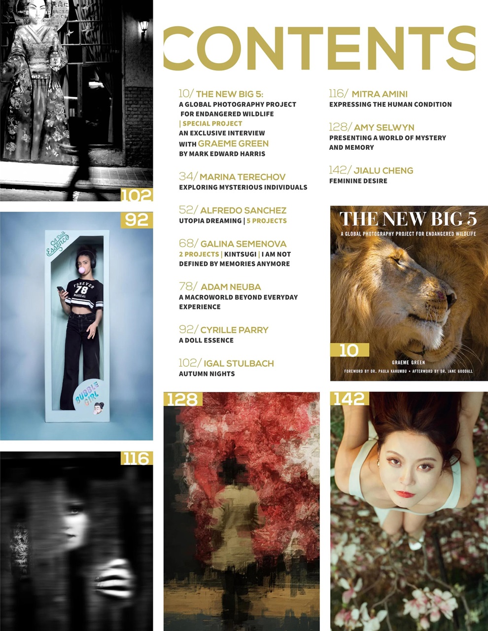 Lens Magazine Preview Pages