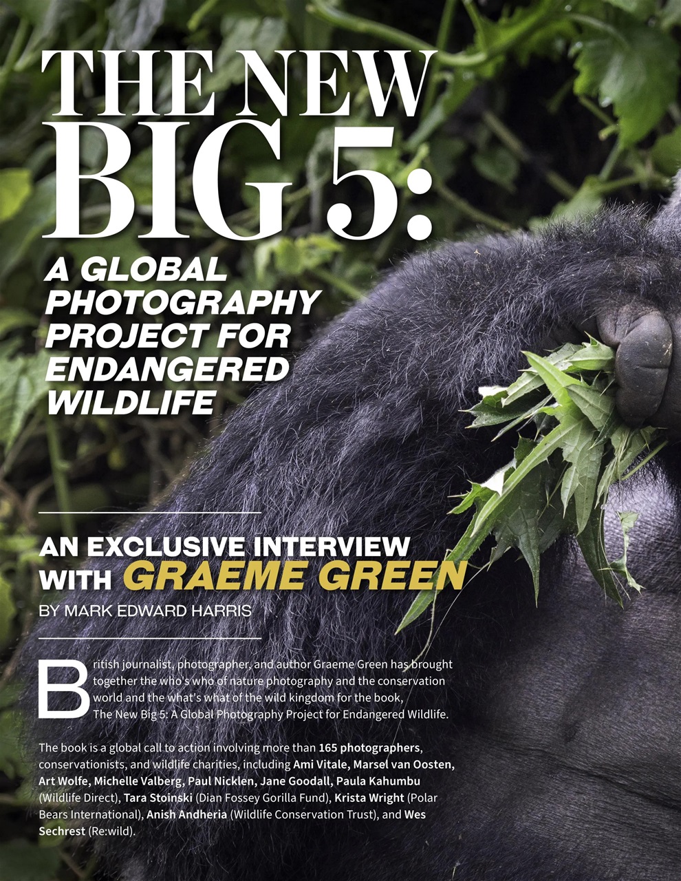 Lens Magazine Preview Pages