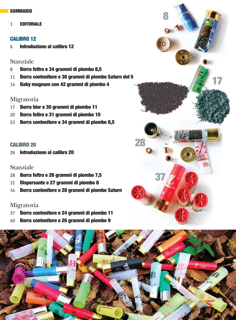 Caccia Magazine Preview Pages