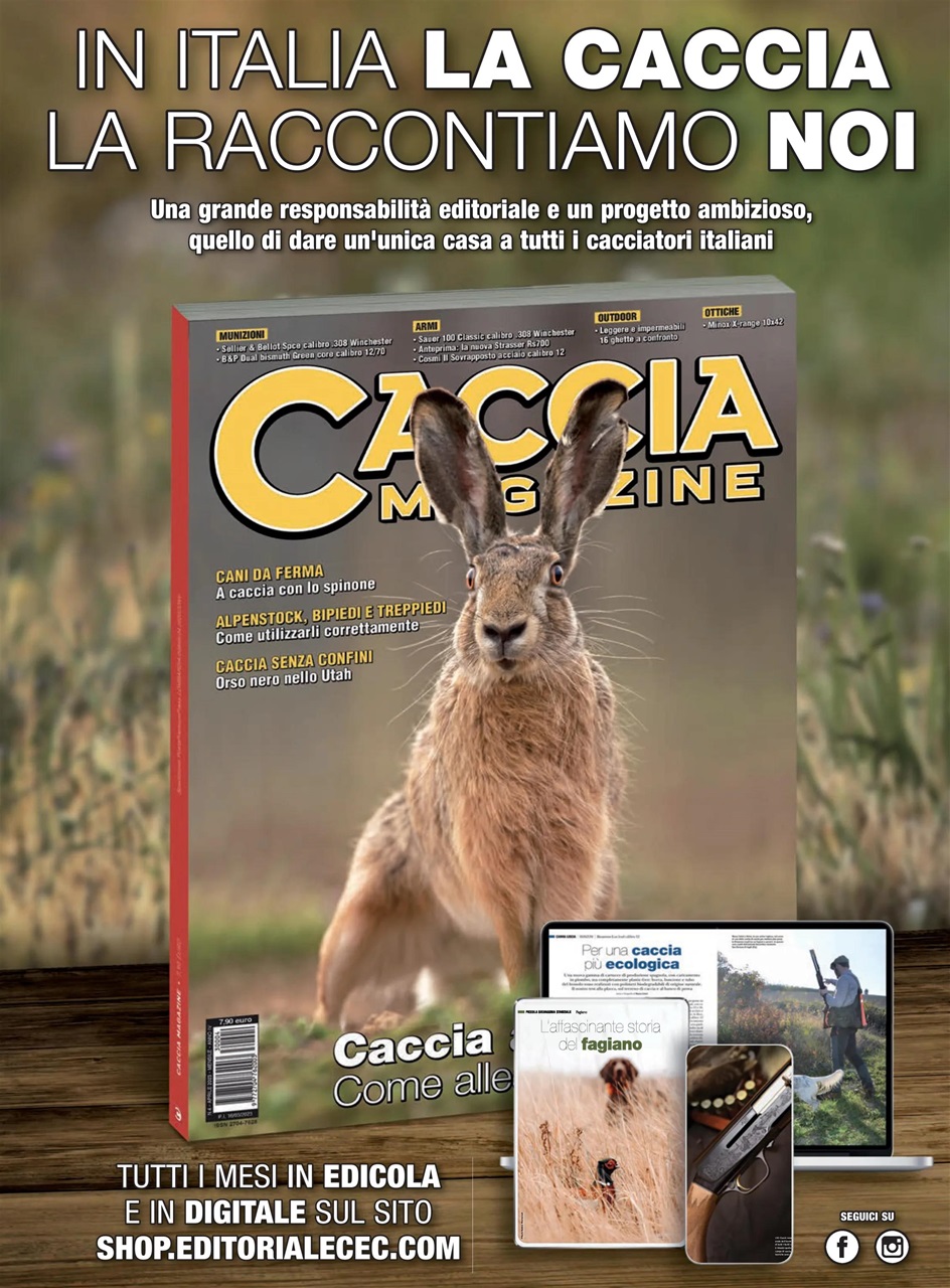 Caccia Magazine Preview Pages