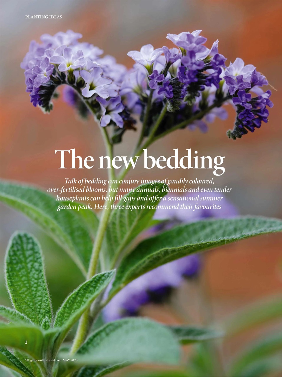 Gardens Illustrated Preview Pages