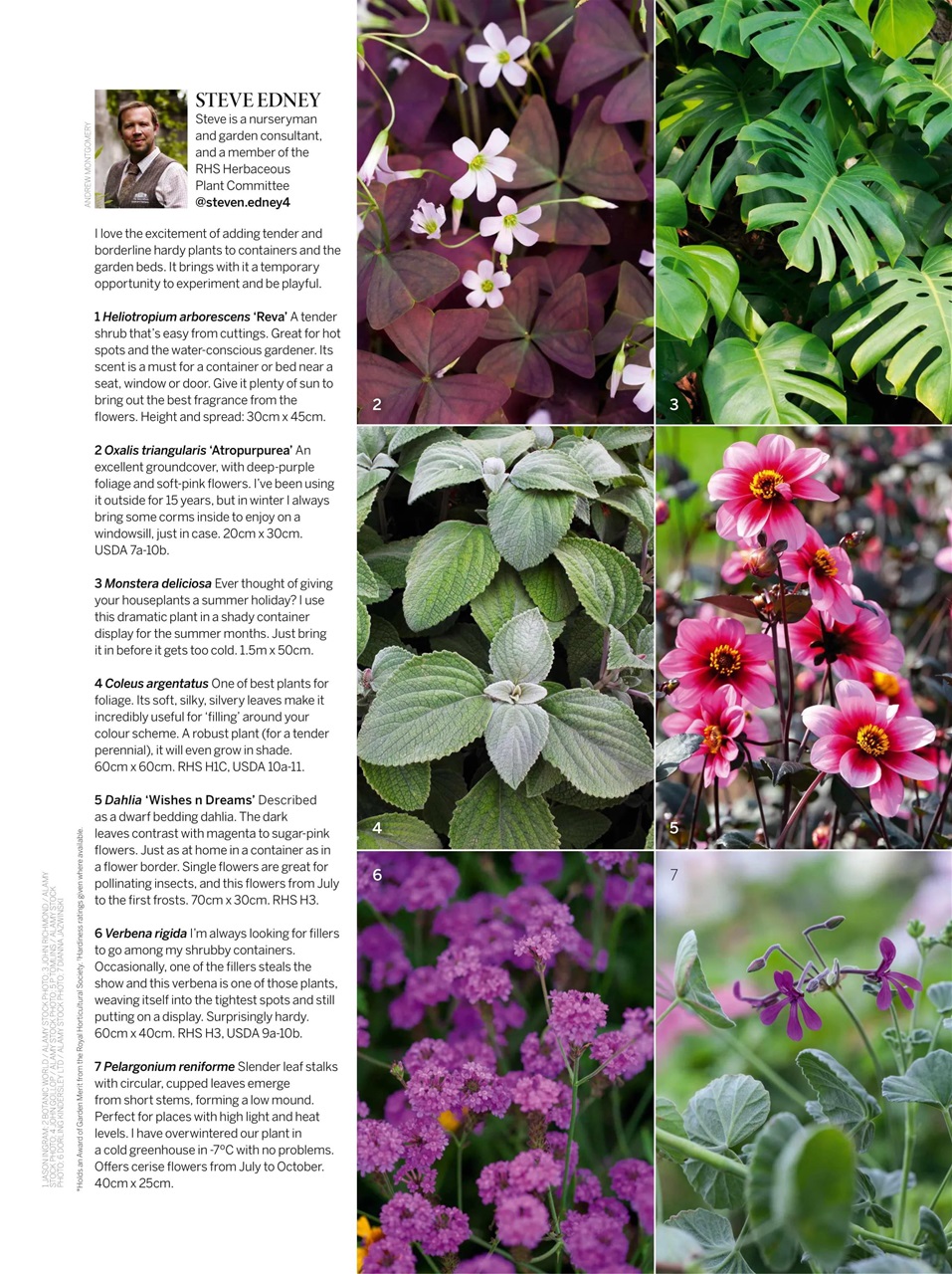 Gardens Illustrated Preview Pages