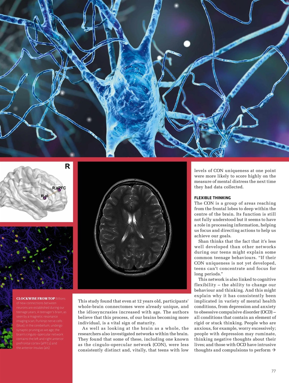 BBC Science Focus Magazine Preview Pages