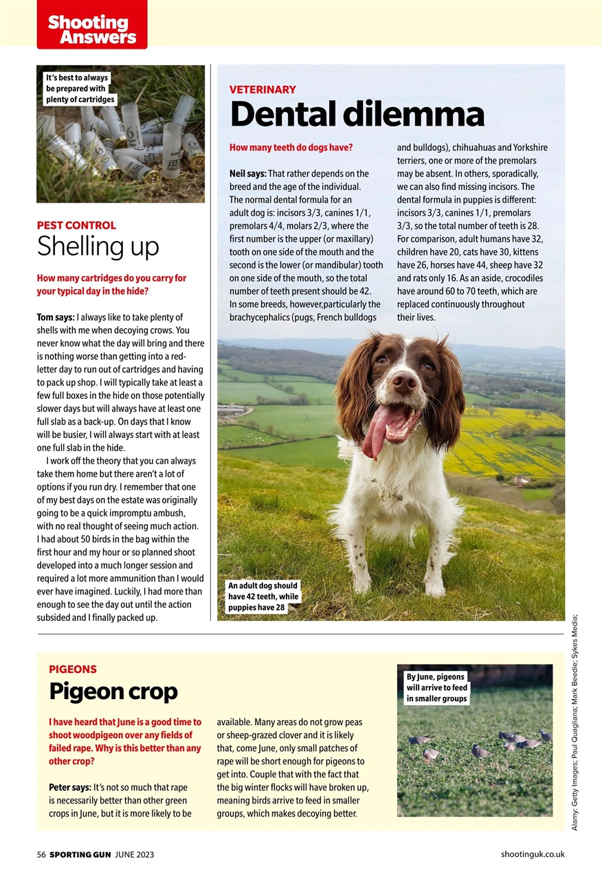 Sporting Gun Preview Pages