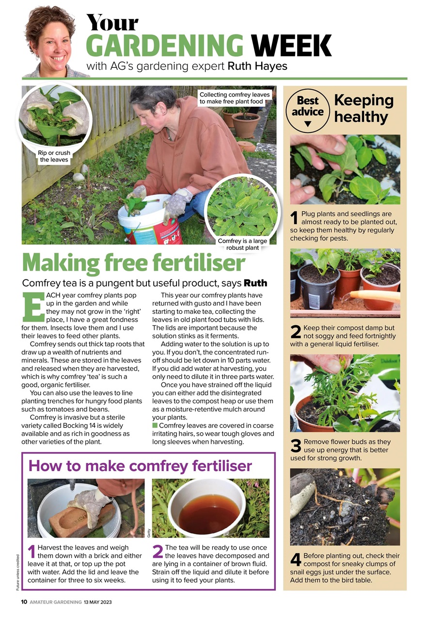 Amateur Gardening Preview Pages