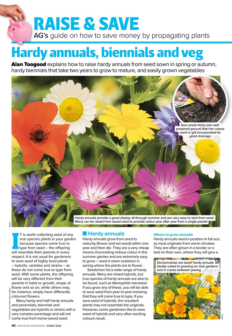 Amateur Gardening Preview Pages