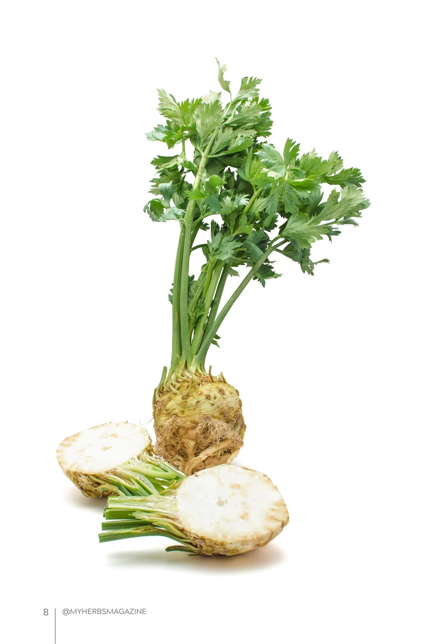 My Herbs Magazine Preview Pages