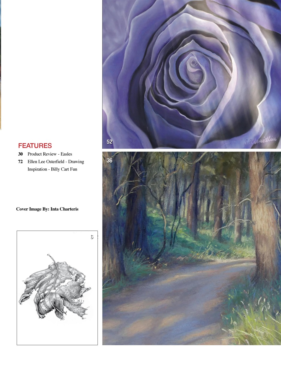 Australian Drawing and Inspiration Preview Pages