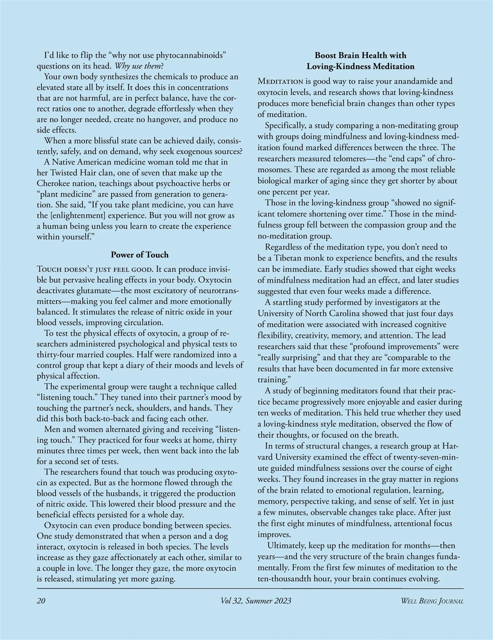 Well Being Journal Preview Pages