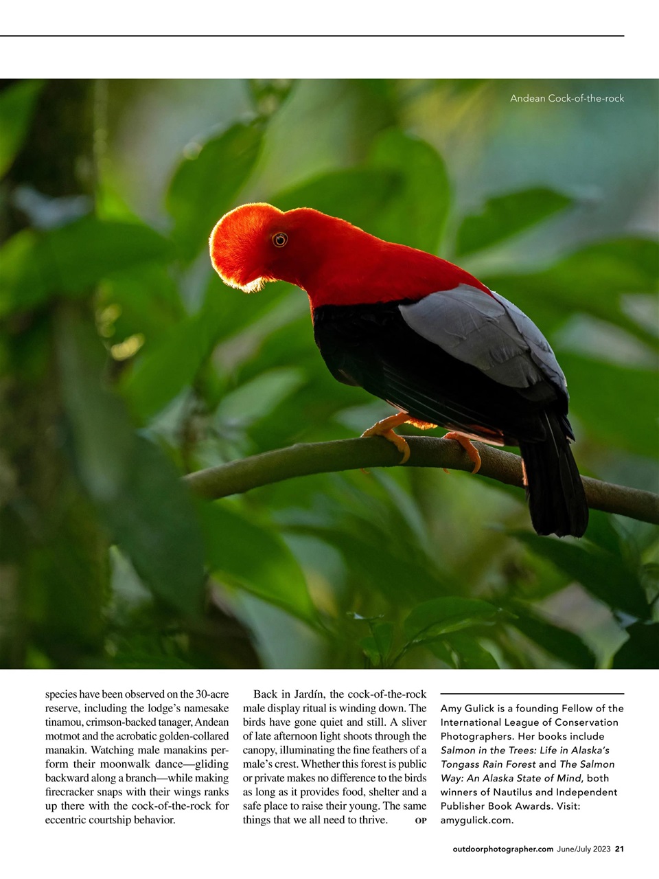 Outdoor Photographer Preview Pages