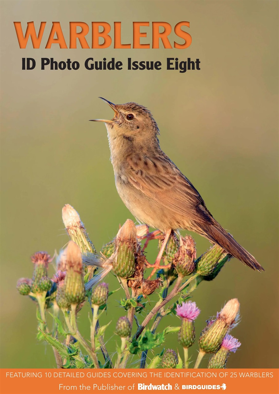 Bird ID Photo Guides Preview Pages
