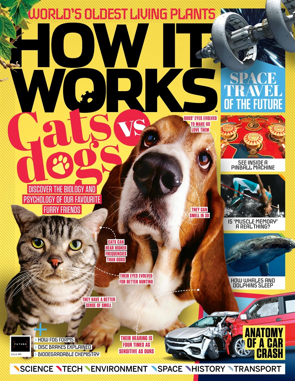 How It Works Preview Pages