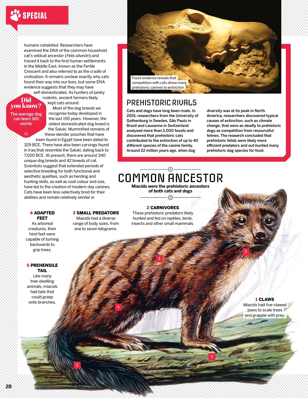 How It Works Preview Pages