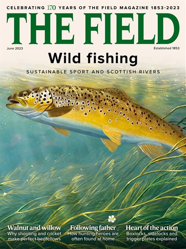 The Field issue 