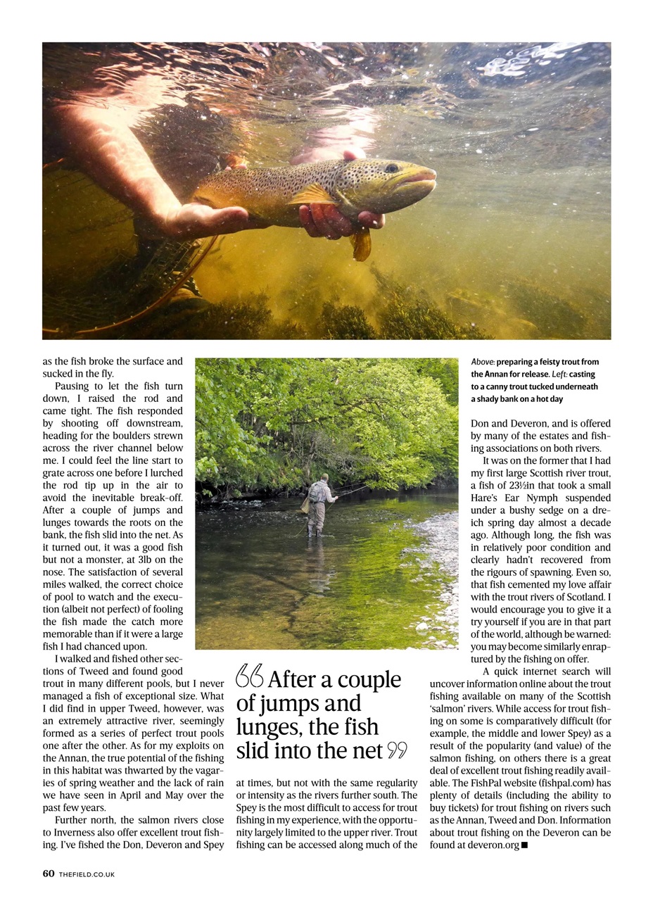 The Field Preview Pages