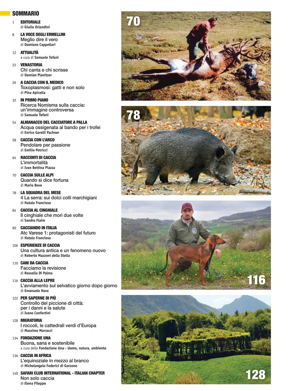 Caccia Magazine Preview Pages