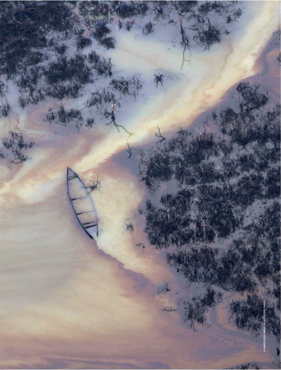 Prospect Magazine Preview Pages