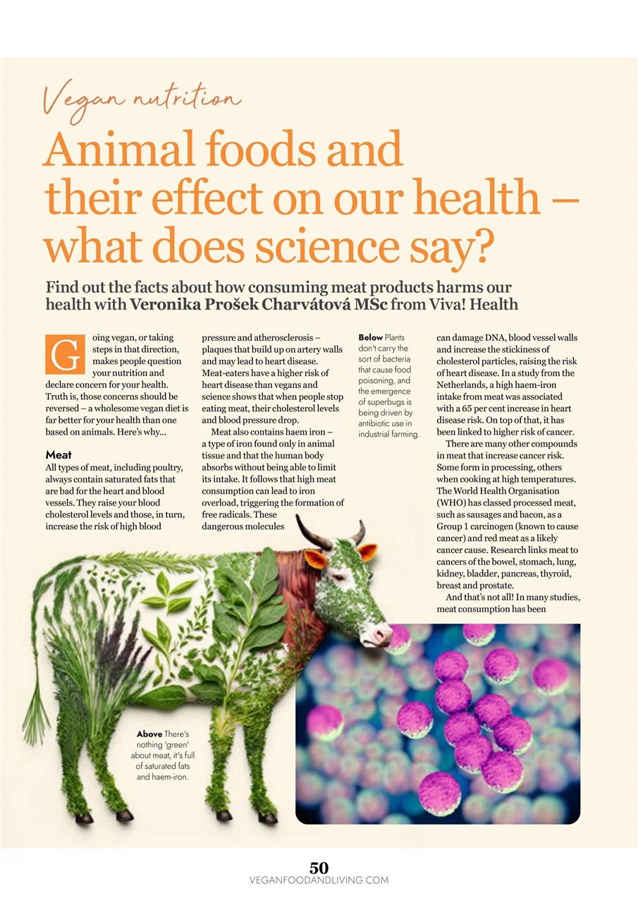 Vegan Food & Living Magazine Preview Pages