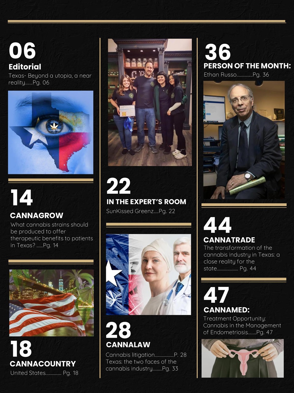 Cannabis World Journals Preview Pages