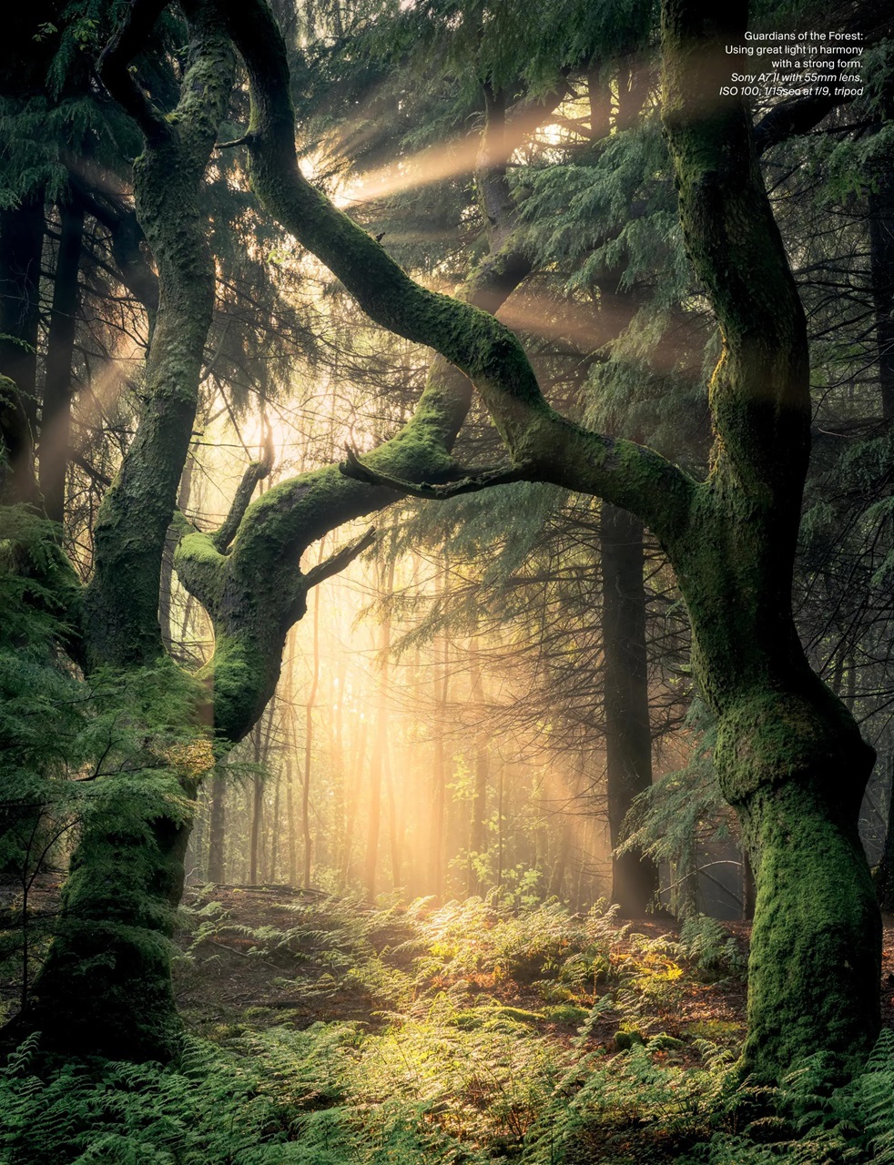 Outdoor Photography Preview Pages