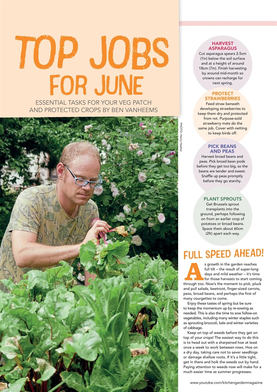 Kitchen Garden Magazine Preview Pages