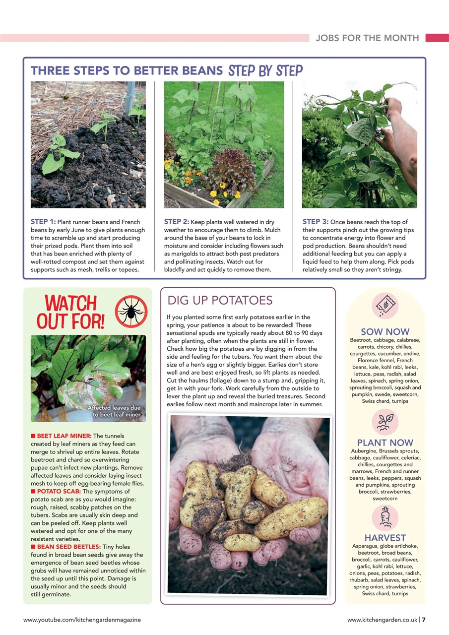 Kitchen Garden Magazine Preview Pages