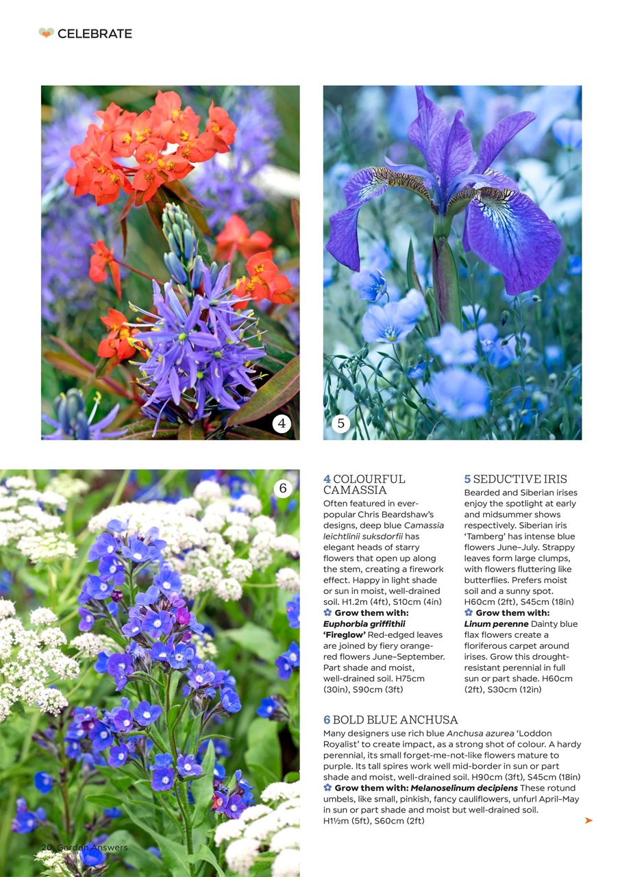 Garden Answers Preview Pages