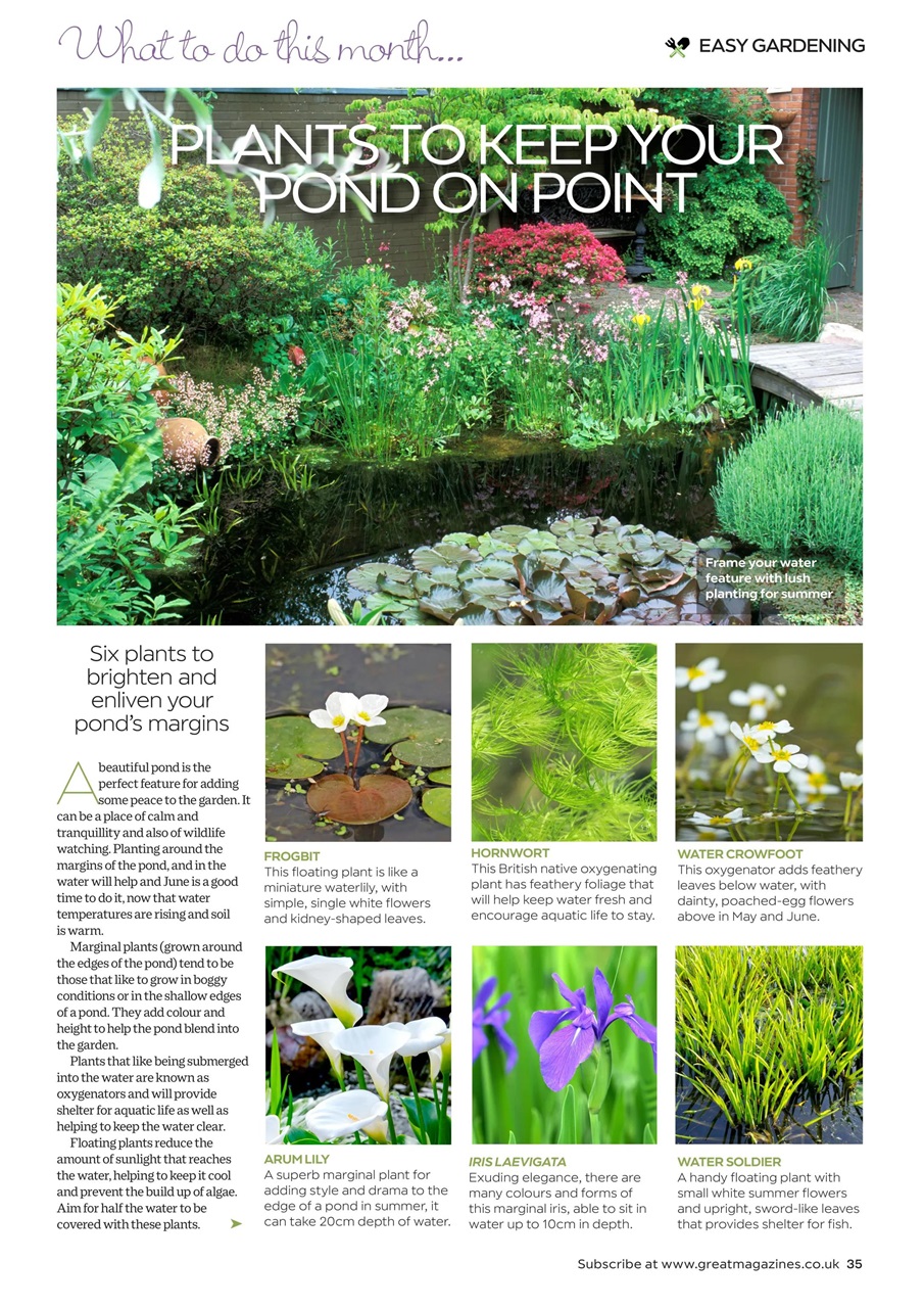 Garden Answers Preview Pages