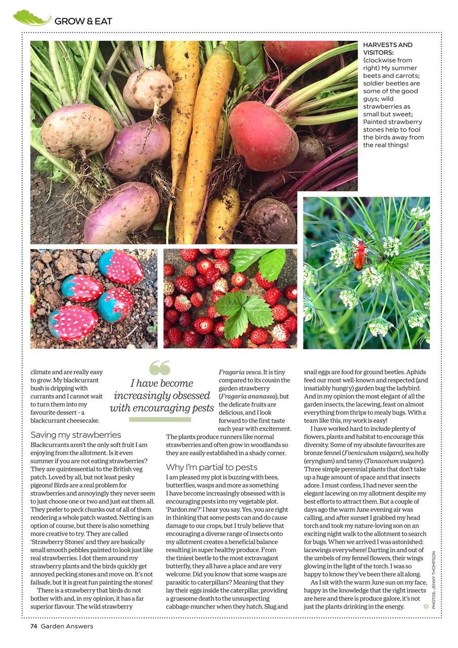 Garden Answers Preview Pages