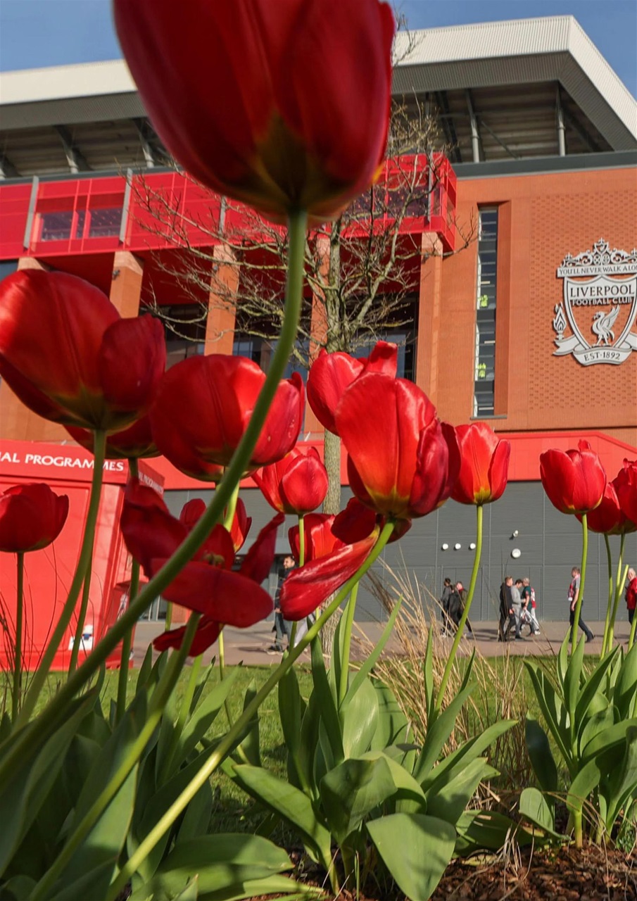 Liverpool FC Magazine Preview Pages