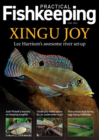 Practical Fishkeeping issue June 2023