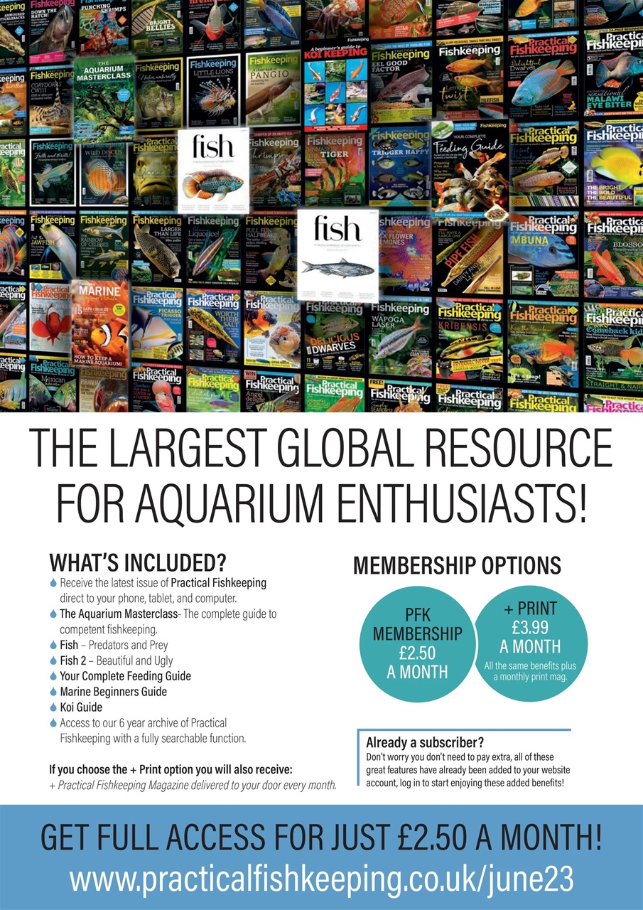 Practical Fishkeeping Preview Pages