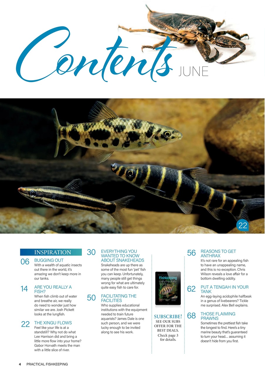 Practical Fishkeeping Preview Pages