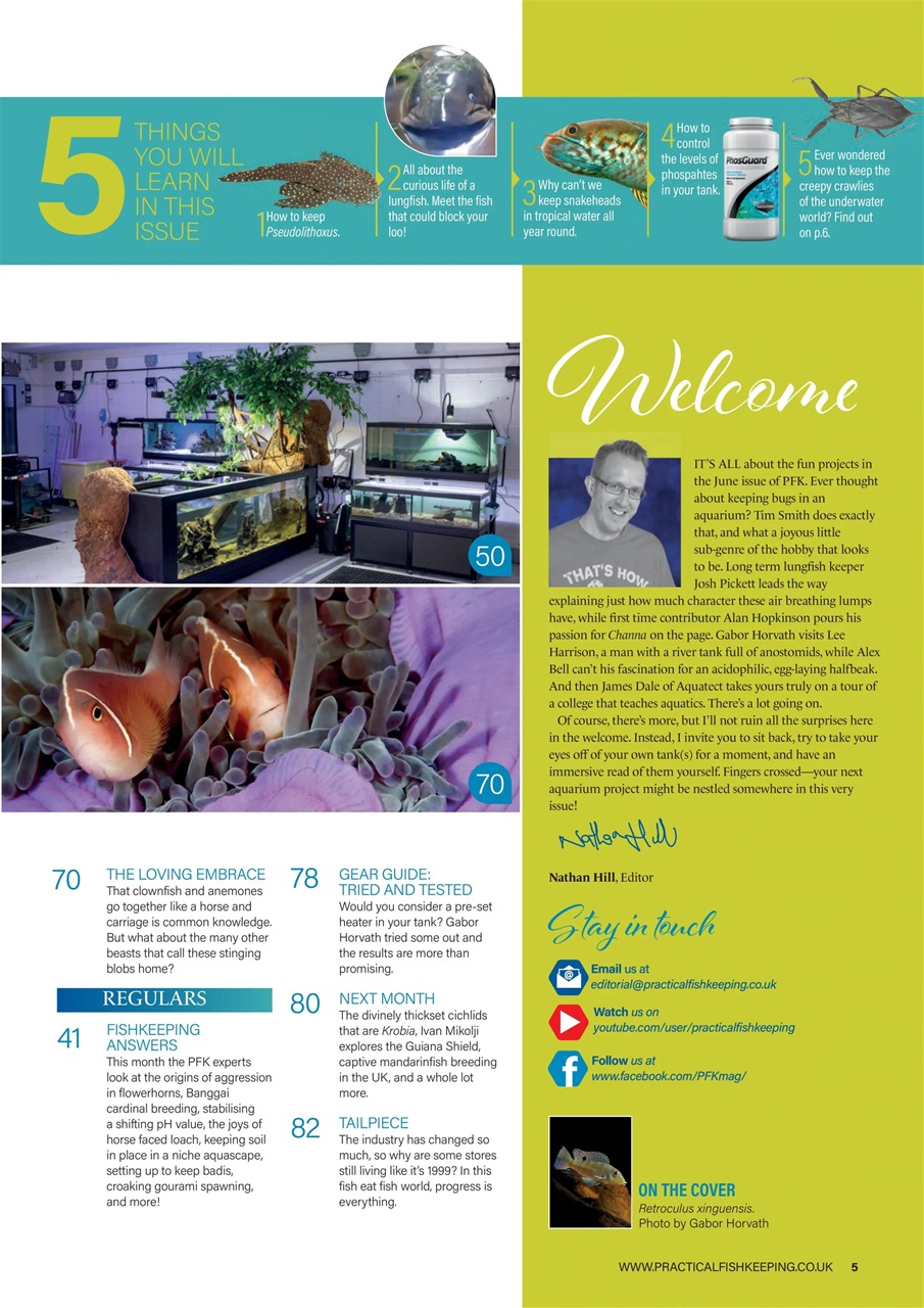 Practical Fishkeeping Preview Pages