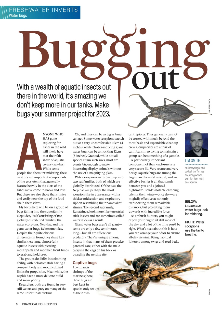Practical Fishkeeping Preview Pages