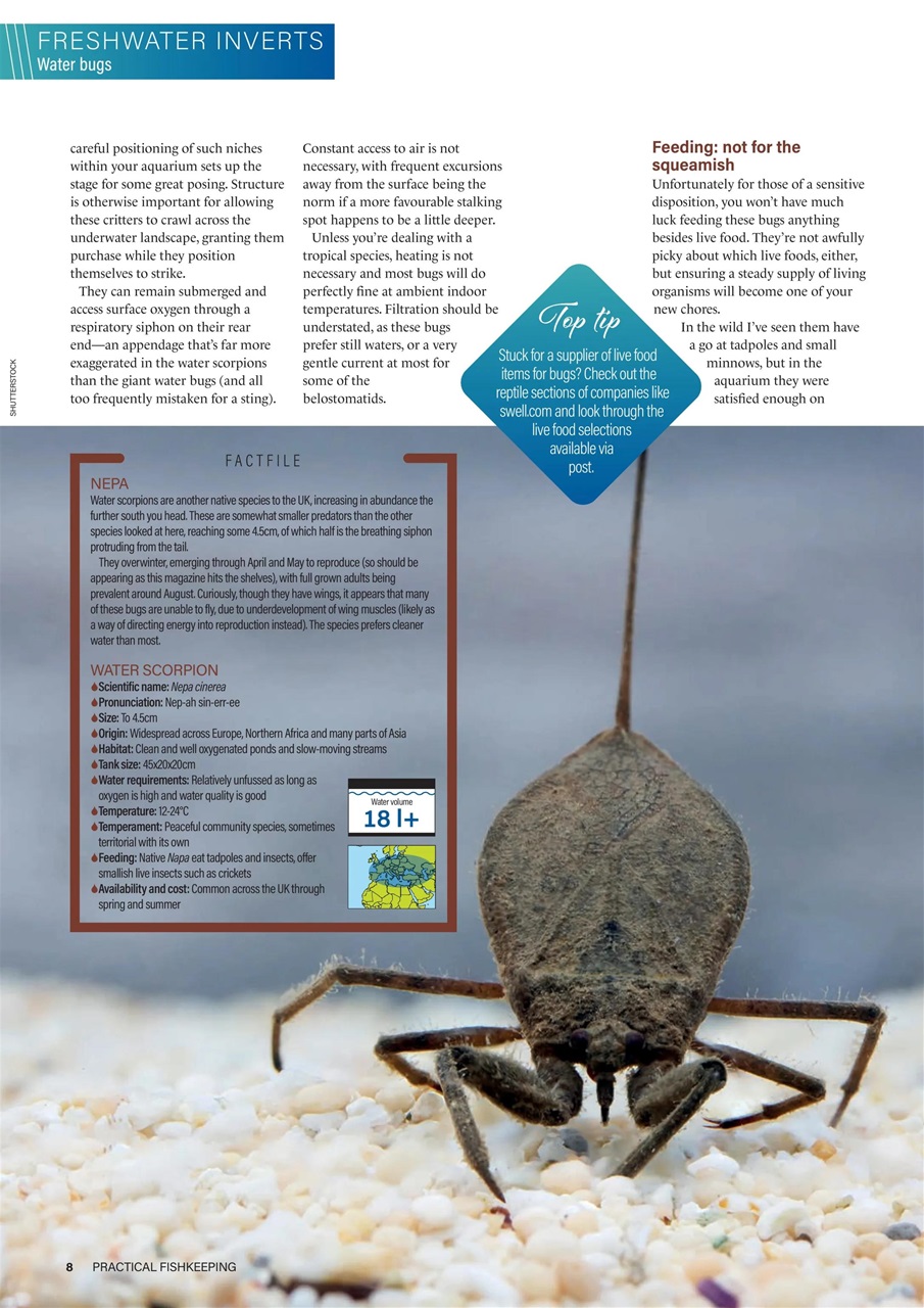 Practical Fishkeeping Preview Pages