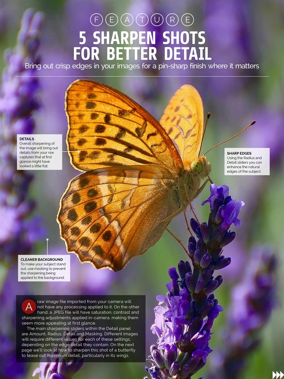 Photography Week Preview Pages