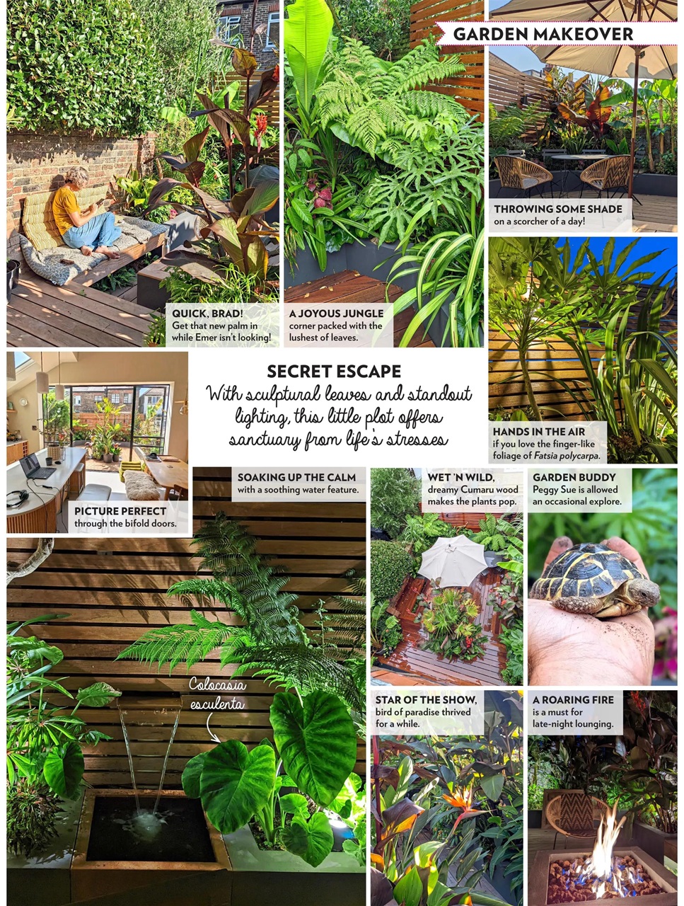 Modern Gardens Preview Pages